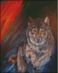 (image for) Wild Wolf